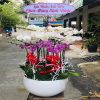 Hoa Tuoi Sai Gon Tphcm Ho Chi Minh 12