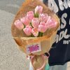 Tulip Và Sen đá (1)