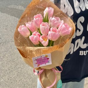 Tulip Và Sen đá (1)