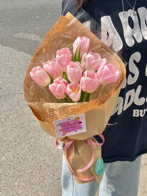 Tulip Và Sen đá (1)