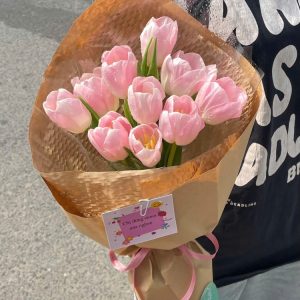 Tulip Và Sen đá (2)
