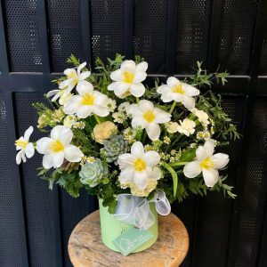 Tulip Và Sen đá (3)