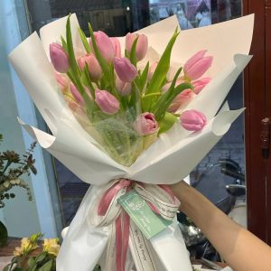 Tulip và sen đá