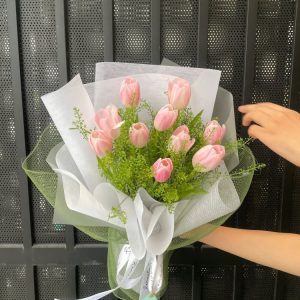 Tulip Và Sen đá (4)