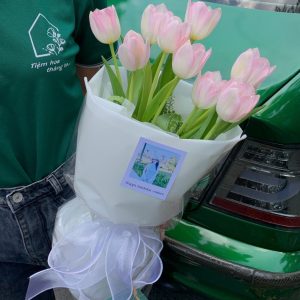 Tulip Và Sen đá (5)