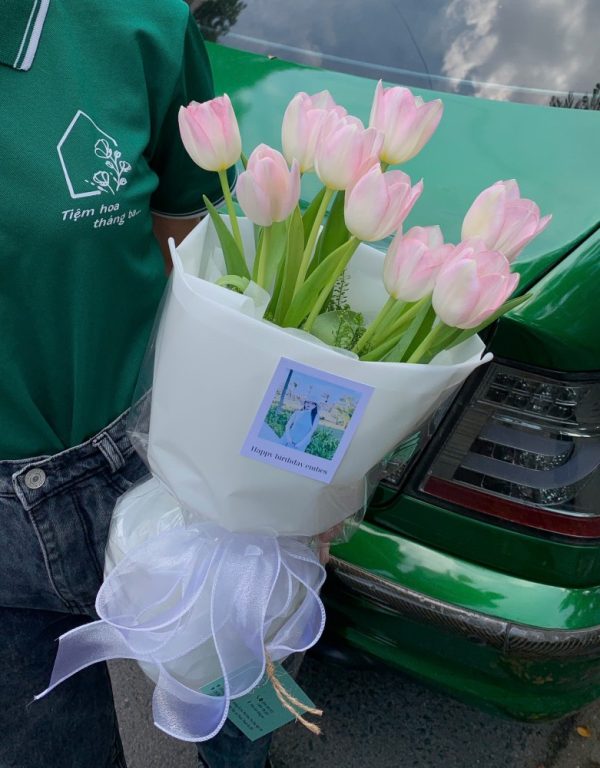 Tulip Và Sen đá (5)