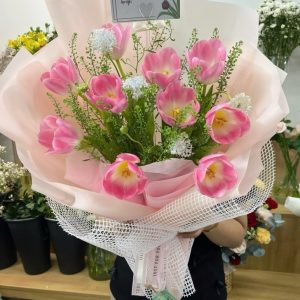 Tulip Và Sen đá (6)