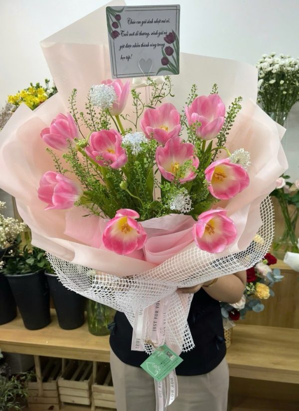 Tulip Và Sen đá (6)