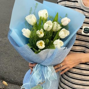 Tulip Và Sen đá (8)