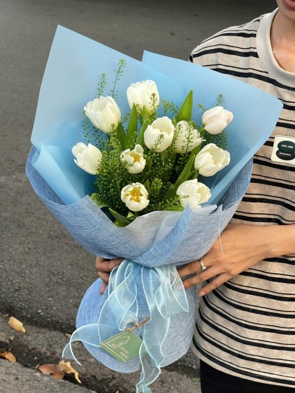 Tulip Và Sen đá (8)