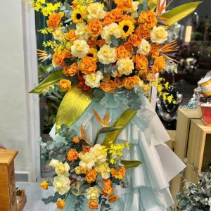 Ke Chuc Mung (247)