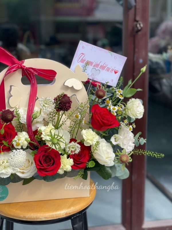 HỘp GiẤy (1)