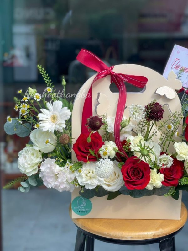 HỘp GiẤy (3)