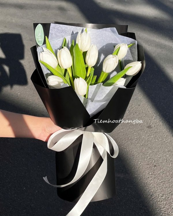 Bó Hoa Tulip (1)