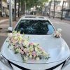 xe hoa tone hồng