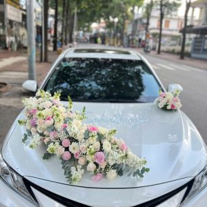 xe hoa tone hồng