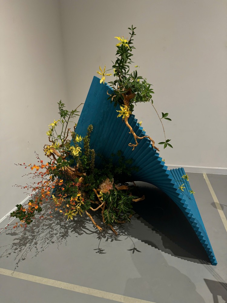 Japan In Bloom (12)