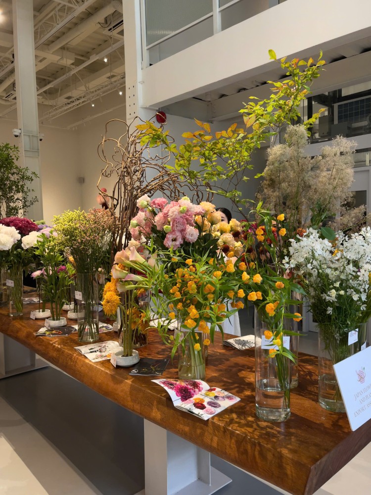 Japan In Bloom (47)