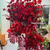 Kệ hoa chúc mừng tone đỏ rực rỡ
