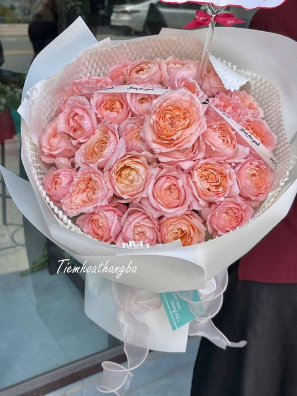 Bó hồng julibee