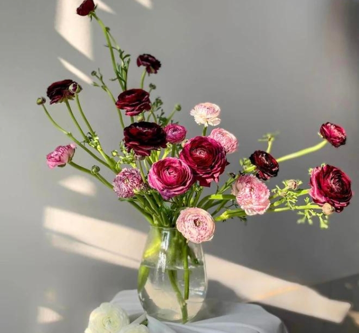 Xr:d:dafbrewq1q4:15,j:4176418583,t:23022308