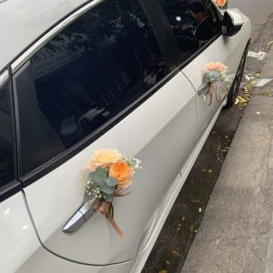 Z5282898105608 079899bd8ef857937059e9f423485c2a