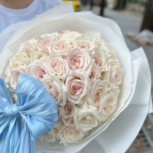 bó hồng ohara trắng
