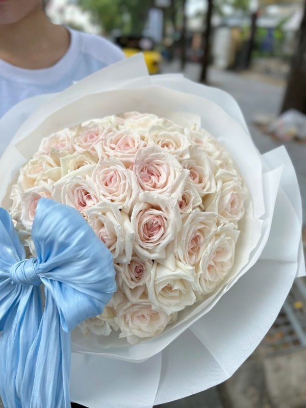 bó hồng ohara trắng