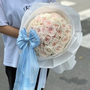 bó hồng ohara trắng