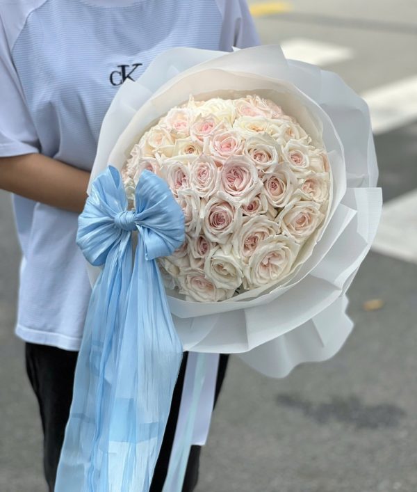 bó hồng ohara trắng