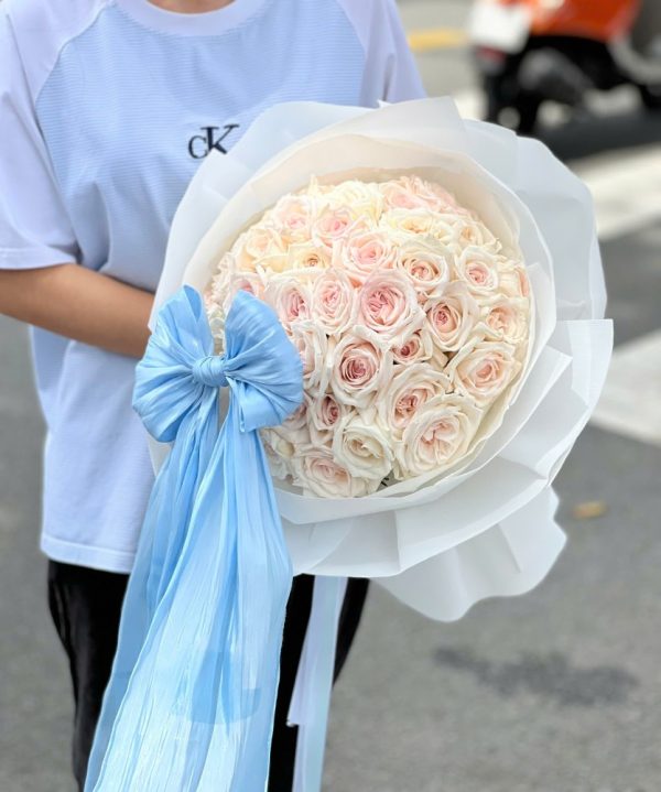 bó hồng ohara trắng