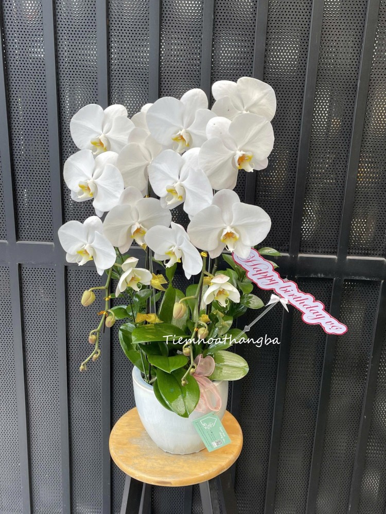 Z7017662565727 B25a29e4773e6bcfd663677256598e87 Z7017662565727 B25a29e4773e6bcfd663677256598e87