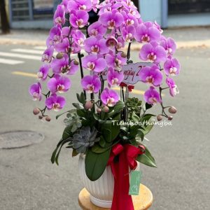 Z7135635024100 Ccb26e0bfe421e2fa4d32749ced89b92