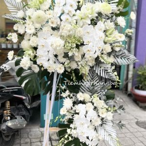 Z7151257014970 E103cf1ad34750d74c26a7999fec2a2f (1)