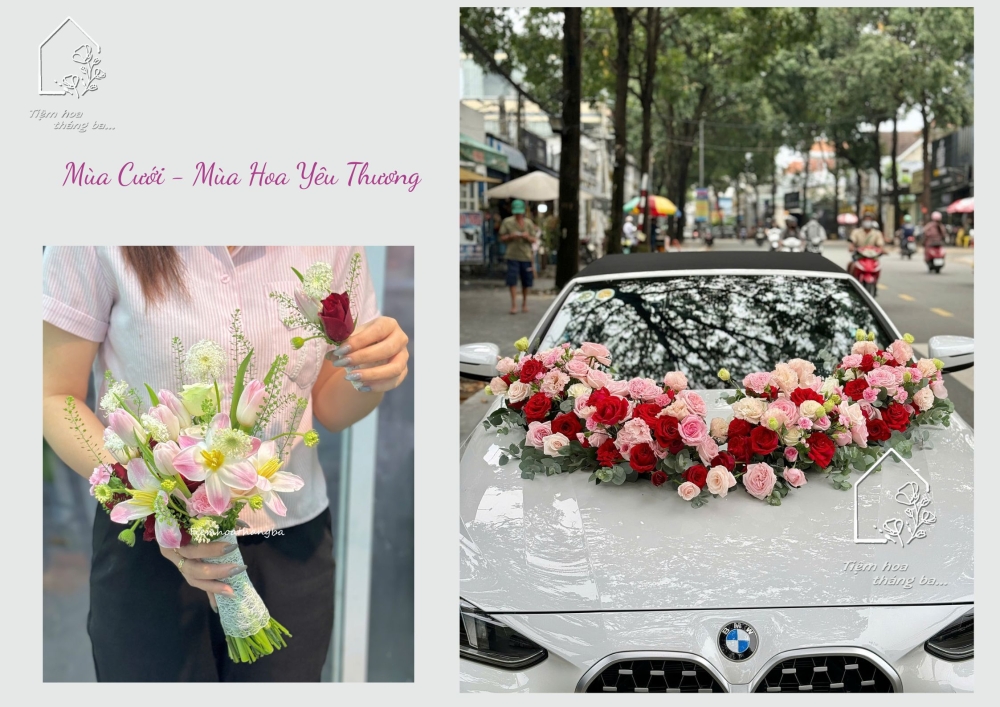 Nội Dung đoạn Văn Bản Của Bạn