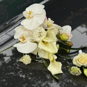 Z7154329885456 Adb254f007c995bedf3d9dfb302b64ac