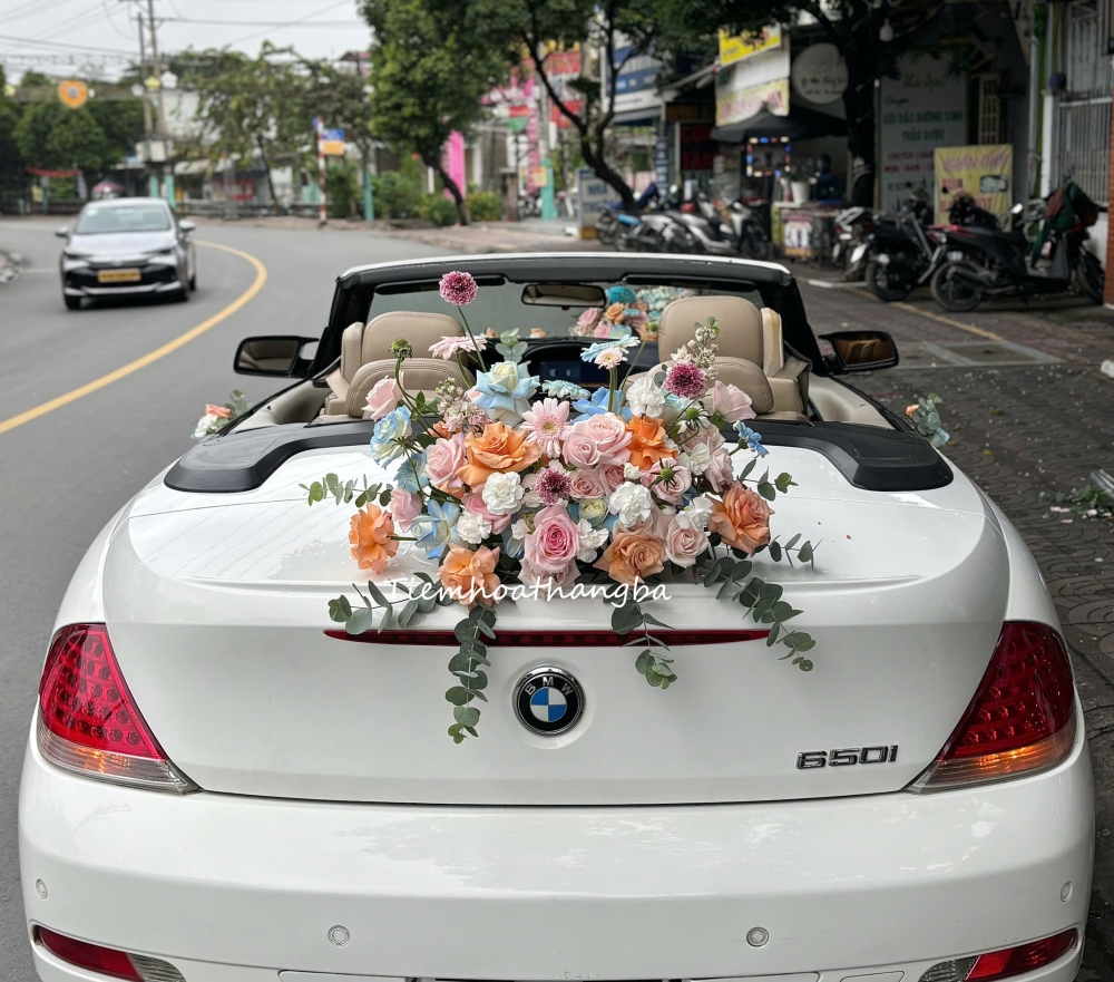 Z7155925563019 4a8b1fc521793c890b3a93f0e52a0437 Z7155925563019 4a8b1fc521793c890b3a93f0e52a0437