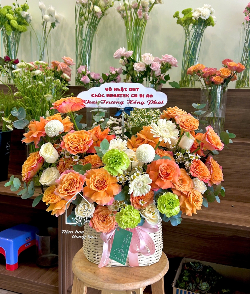 Z7167050276072 268826d80d20ea5d425ac8bd36d5afcf Z7167050276072 268826d80d20ea5d425ac8bd36d5afcf