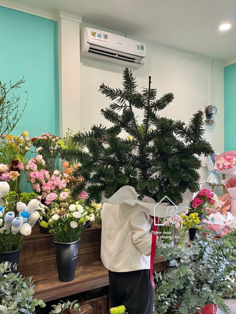 Z7198682774002 46e2fbd77429746b1a44d8c090e7b3e7