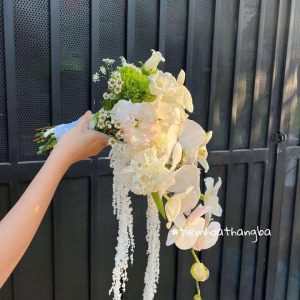 Z7198722908823 0bebb38eb9797735a2bc19107c86379a