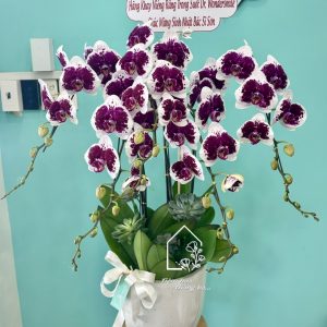 Z7208770564905 36ed66f65eab5823ae9e0d8330a70138