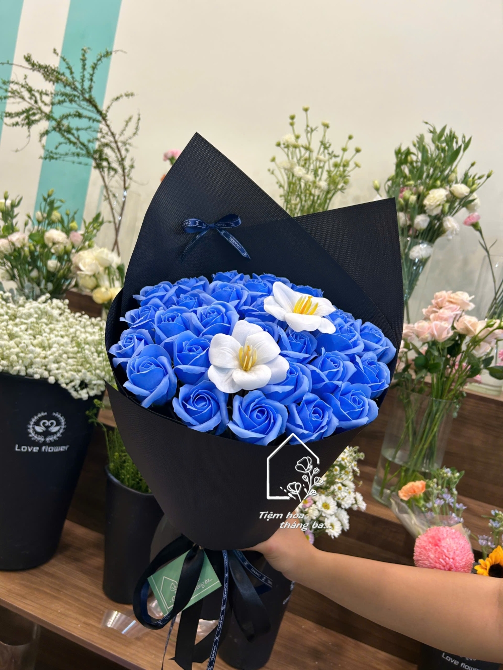 Z7230337623624 Fe036319bf911d58c55793be414fb57a Z7230337623624 Fe036319bf911d58c55793be414fb57a