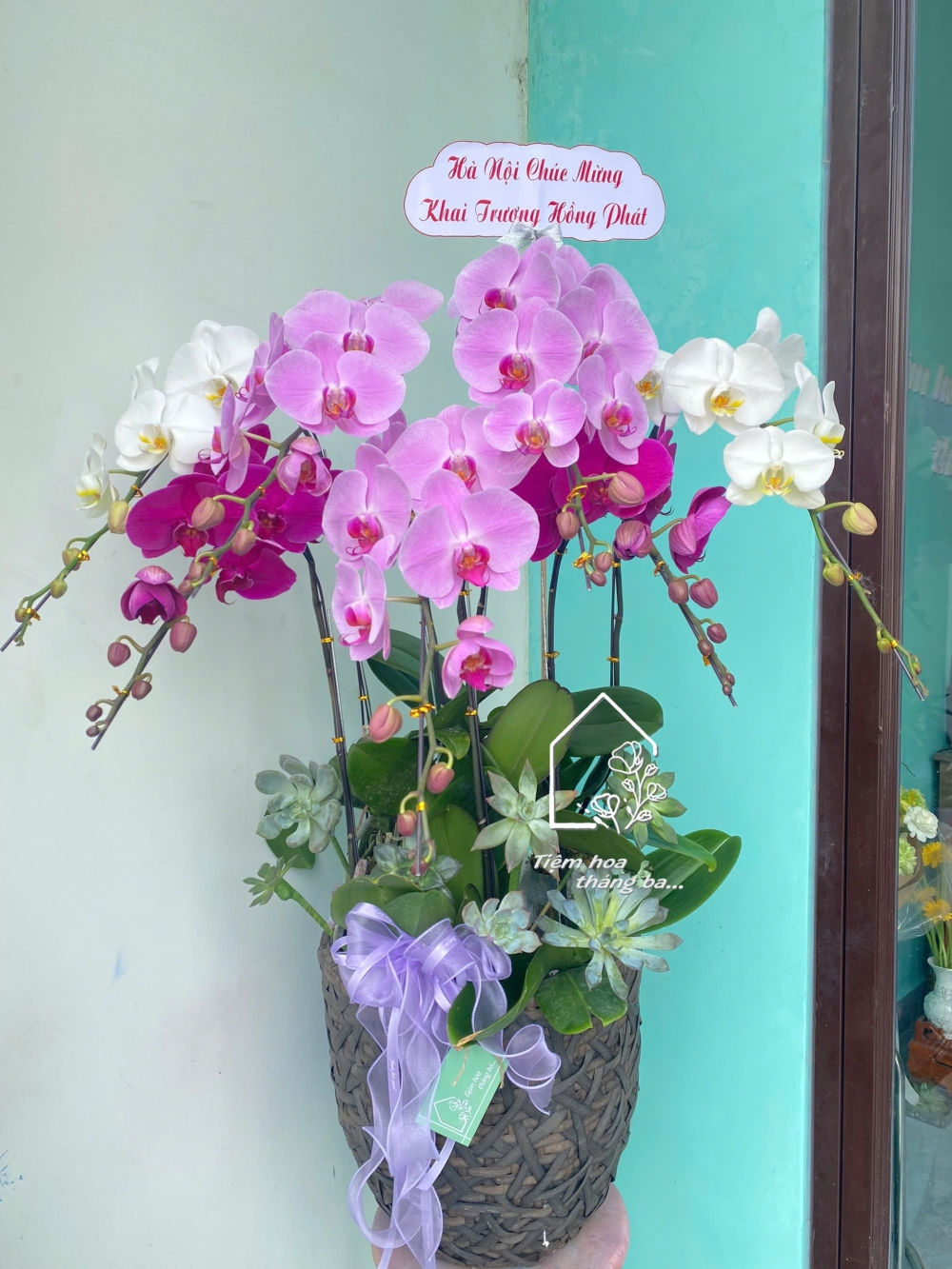 Z7256695856745 757f21179a007c6a1cc485b3a41fa33f Z7256695856745 757f21179a007c6a1cc485b3a41fa33f