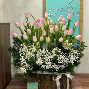 Z7261443985550 E5687004a4371a6761ce1069d7ea4cfa