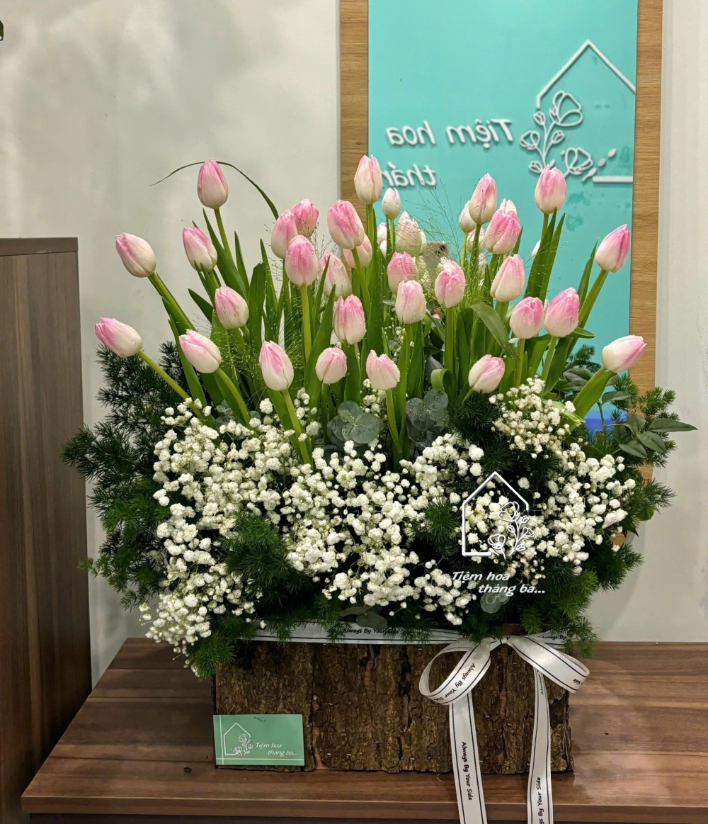 Z7261443985550 E5687004a4371a6761ce1069d7ea4cfa Z7261443985550 E5687004a4371a6761ce1069d7ea4cfa