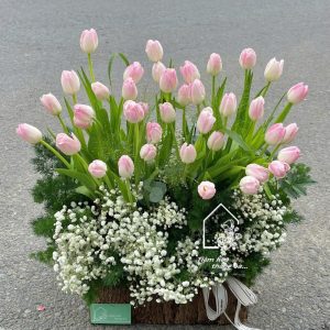 Z7261444008301 69b2829ae0aae30ed50029d2a46ea440