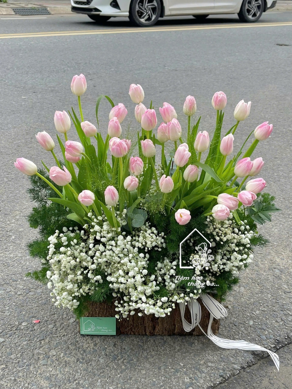 Z7261444008301 69b2829ae0aae30ed50029d2a46ea440 Z7261444008301 69b2829ae0aae30ed50029d2a46ea440