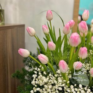 Z7261444023299 C4c7a7e8732513f7ae732cce865e82f3