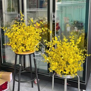 Z7226216831369 04b396f1d5f2b0488c55e35425138509