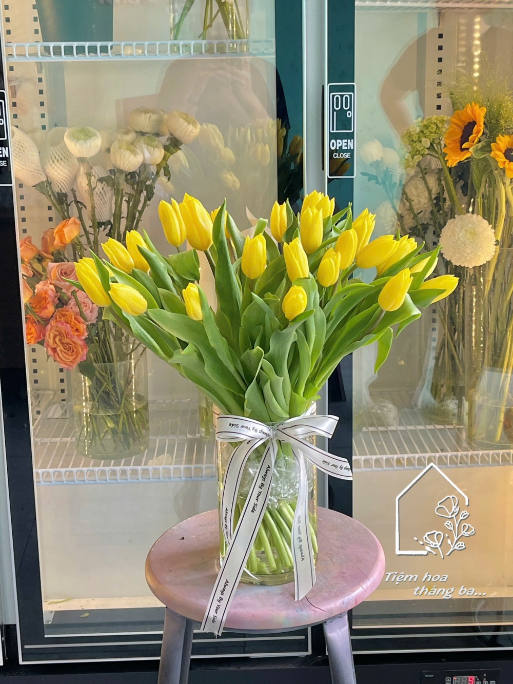 Z7229695349082 1af3bcd43a3119ffdd29ef8c76b38148 Z7229695349082 1af3bcd43a3119ffdd29ef8c76b38148